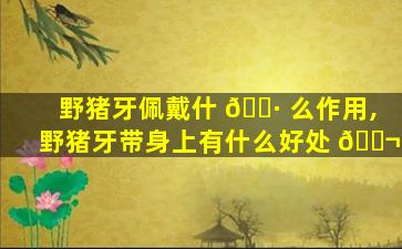 野猪牙佩戴什 🌷 么作用,野猪牙带身上有什么好处 🐬